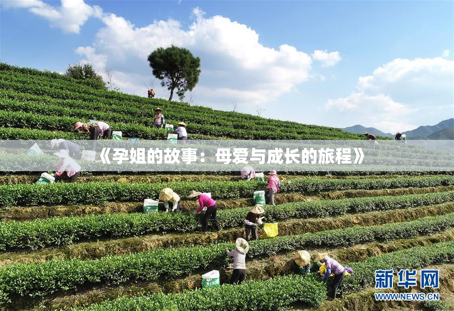 《孕姐的故事：母爱与成长的旅程》