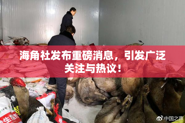 海角社发布重磅消息，引发广泛关注与热议！