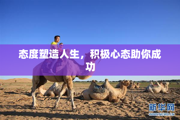 态度塑造人生，积极心态助你成功