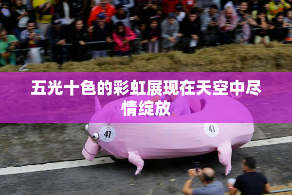 五光十色的彩虹展现在天空中尽情绽放