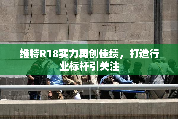 维特R18实力再创佳绩，打造行业标杆引关注