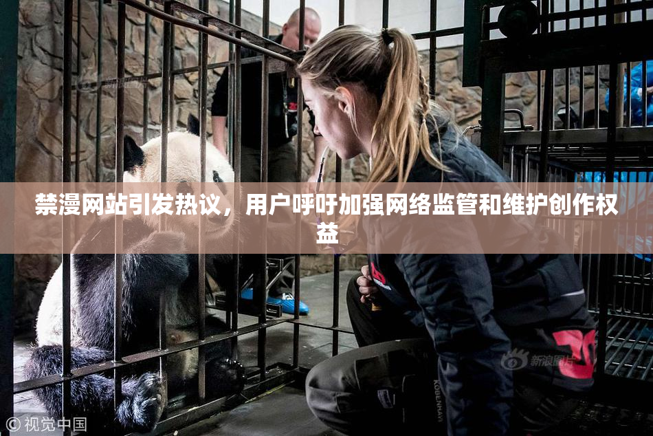 禁漫网站引发热议，用户呼吁加强网络监管和维护创作权益