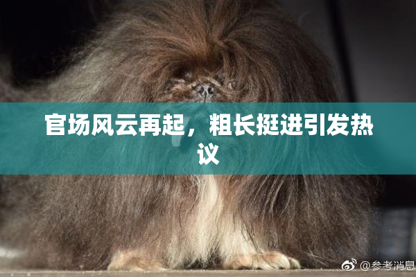 官场风云再起，粗长挺进引发热议