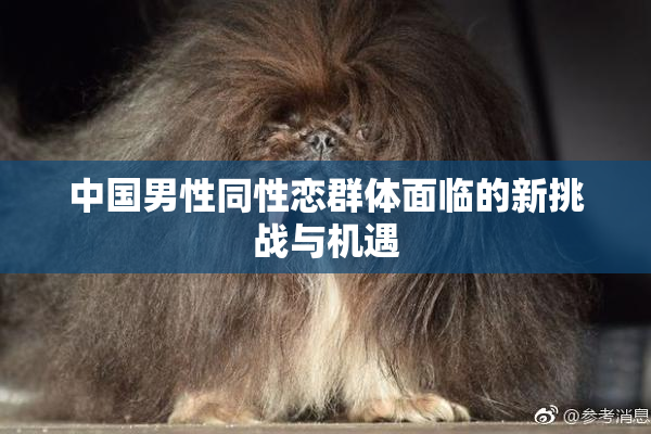 中国男性同性恋群体面临的新挑战与机遇