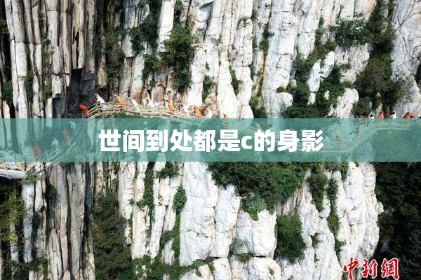 世间到处都是c的身影