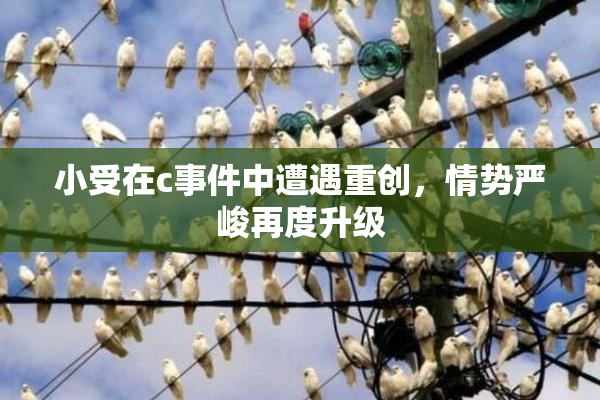 小受在c事件中遭遇重创，情势严峻再度升级