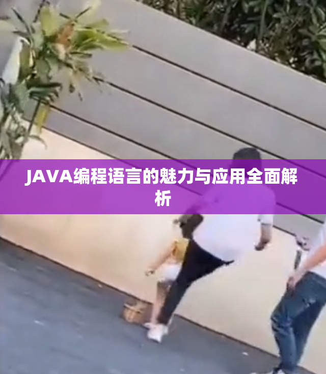 JAVA编程语言的魅力与应用全面解析