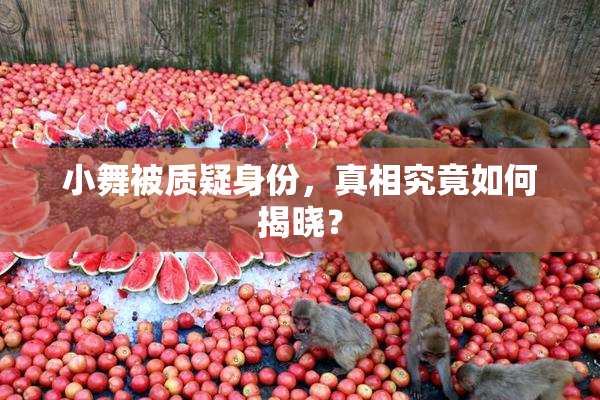 小舞被质疑身份，真相究竟如何揭晓？