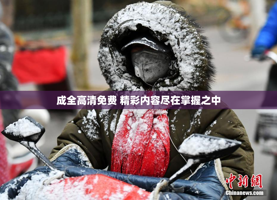 成全高清免费 精彩内容尽在掌握之中