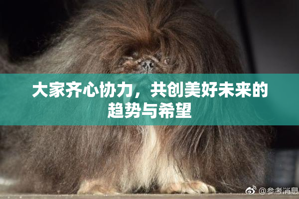 大家齐心协力，共创美好未来的趋势与希望