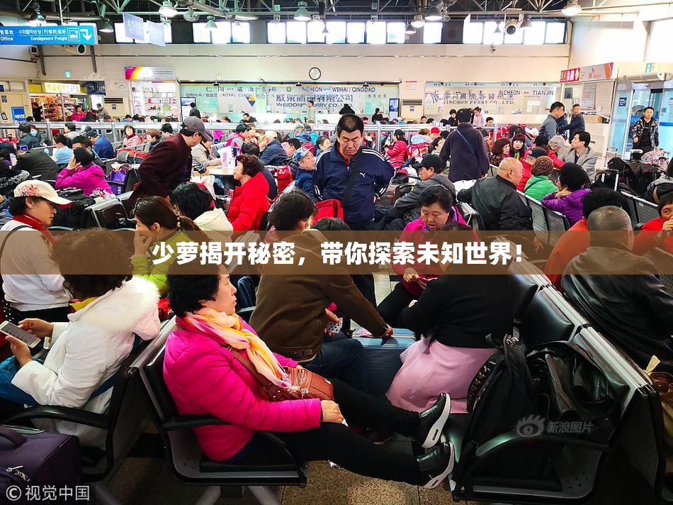 少萝揭开秘密，带你探索未知世界！