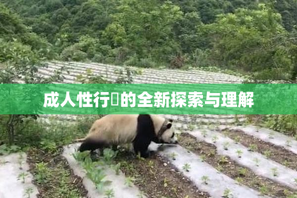 成人性行為的全新探索与理解