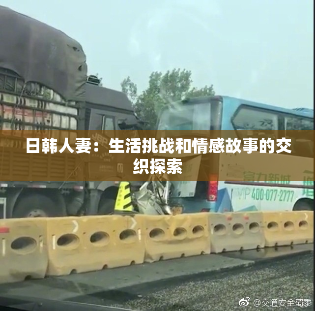 日韩人妻：生活挑战和情感故事的交织探索