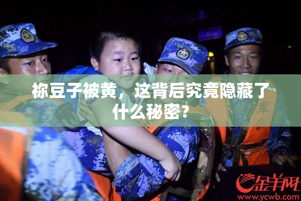 祢豆子被黄，这背后究竟隐藏了什么秘密？