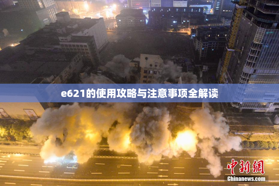 e621的使用攻略与注意事项全解读