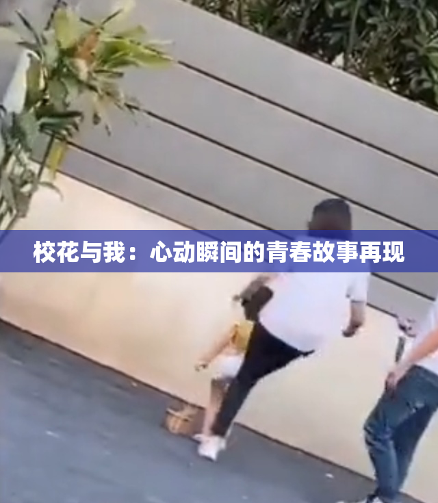 校花与我：心动瞬间的青春故事再现