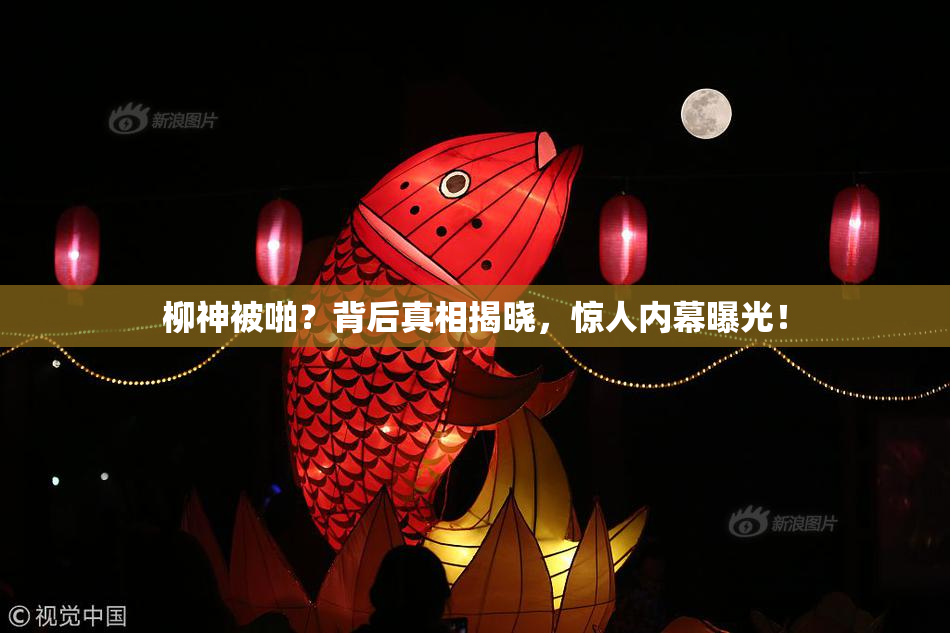 柳神被啪？背后真相揭晓，惊人内幕曝光！