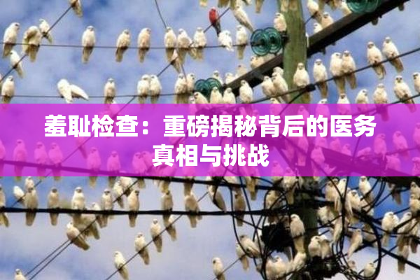 羞耻检查：重磅揭秘背后的医务真相与挑战
