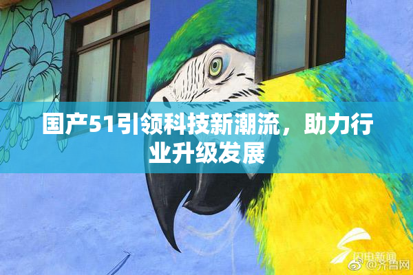 国产51引领科技新潮流，助力行业升级发展