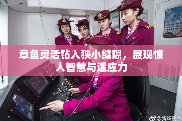 章鱼灵活钻入狭小缝隙，展现惊人智慧与适应力