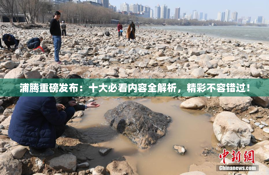 浦腾重磅发布：十大必看内容全解析，精彩不容错过！