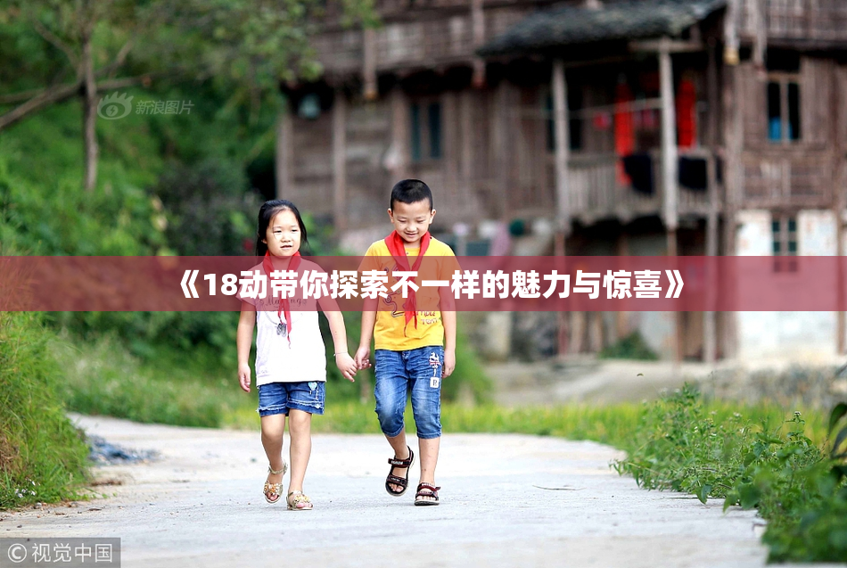 《18动带你探索不一样的魅力与惊喜》