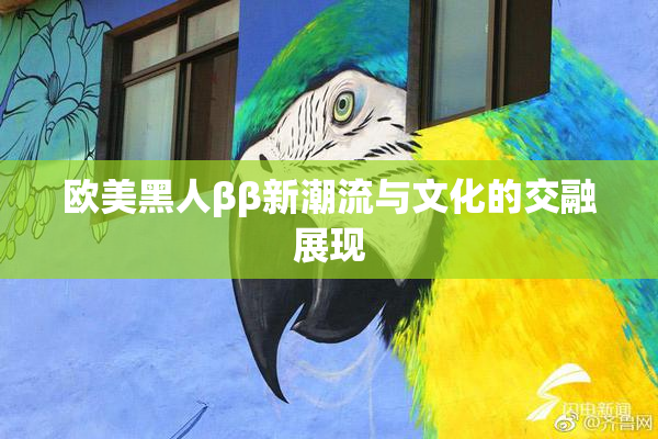 欧美黑人ββ新潮流与文化的交融展现