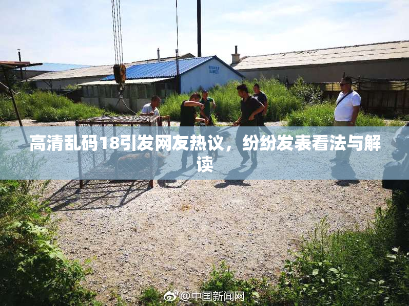 高清乱码18引发网友热议，纷纷发表看法与解读