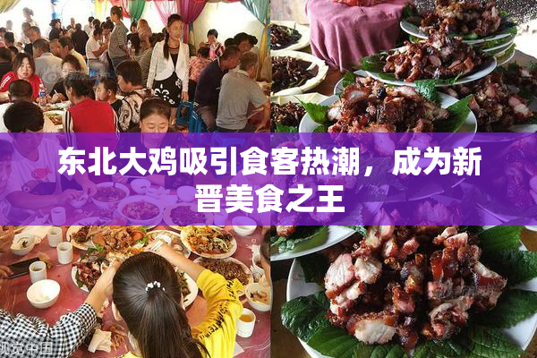 东北大鸡吸引食客热潮，成为新晋美食之王