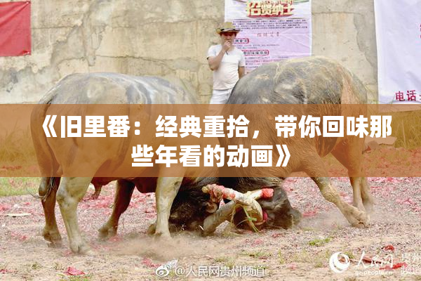 《旧里番：经典重拾，带你回味那些年看的动画》