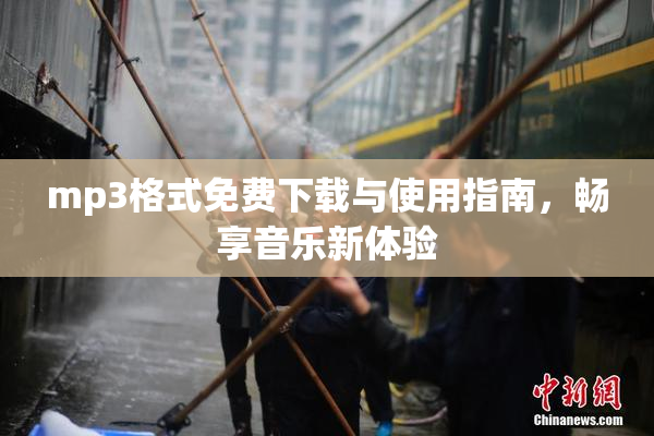 mp3格式免费下载与使用指南，畅享音乐新体验