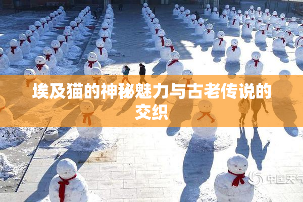 埃及猫的神秘魅力与古老传说的交织