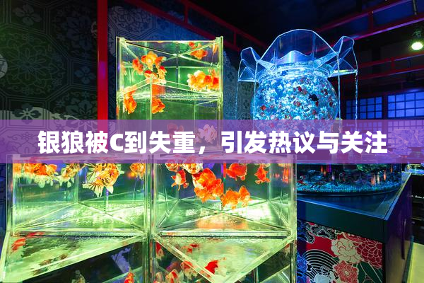 银狼被C到失重，引发热议与关注