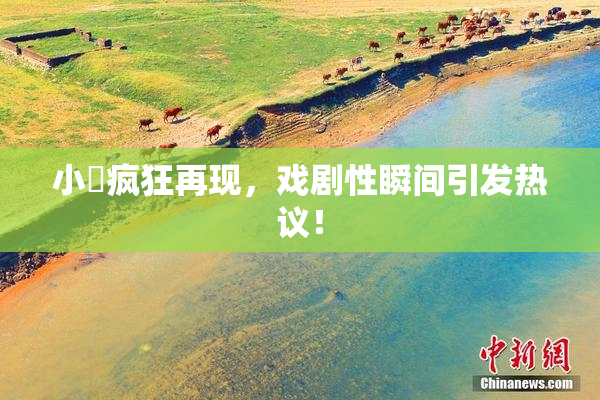 小泬疯狂再现，戏剧性瞬间引发热议！