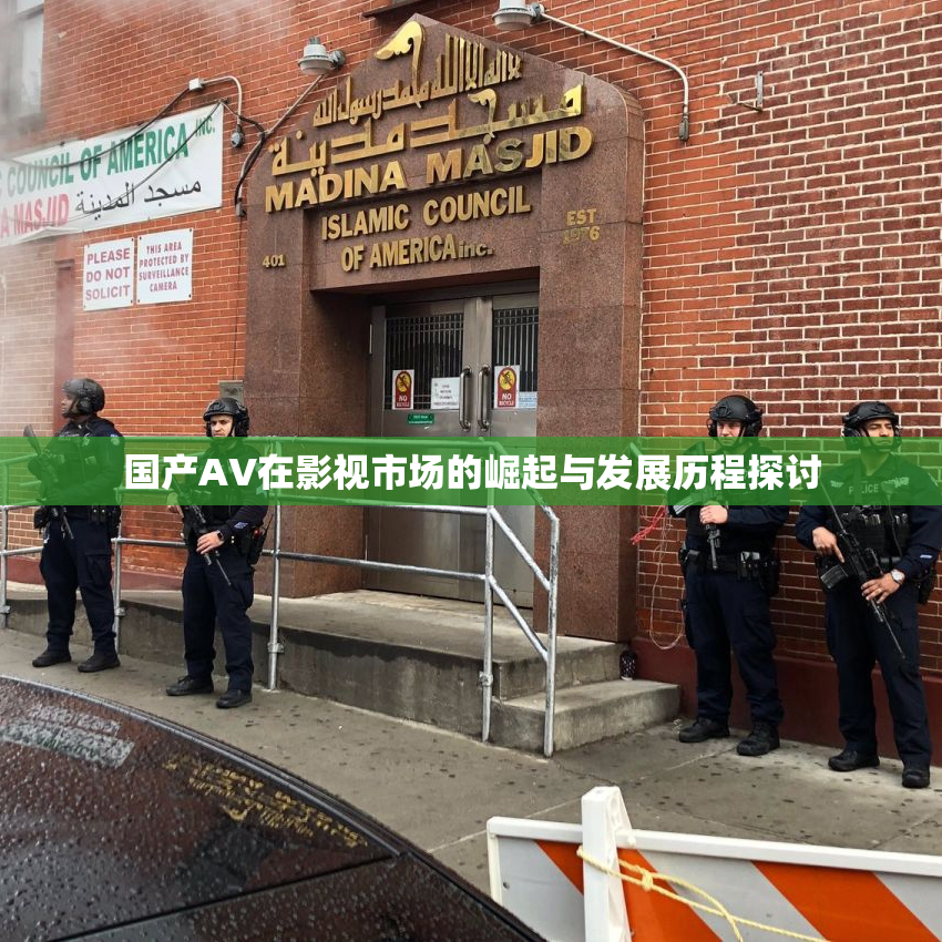 国产AV在影视市场的崛起与发展历程探讨