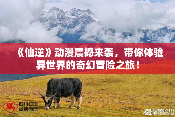 《仙逆》动漫震撼来袭，带你体验异世界的奇幻冒险之旅！