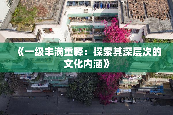 《一级丰满重释：探索其深层次的文化内涵》