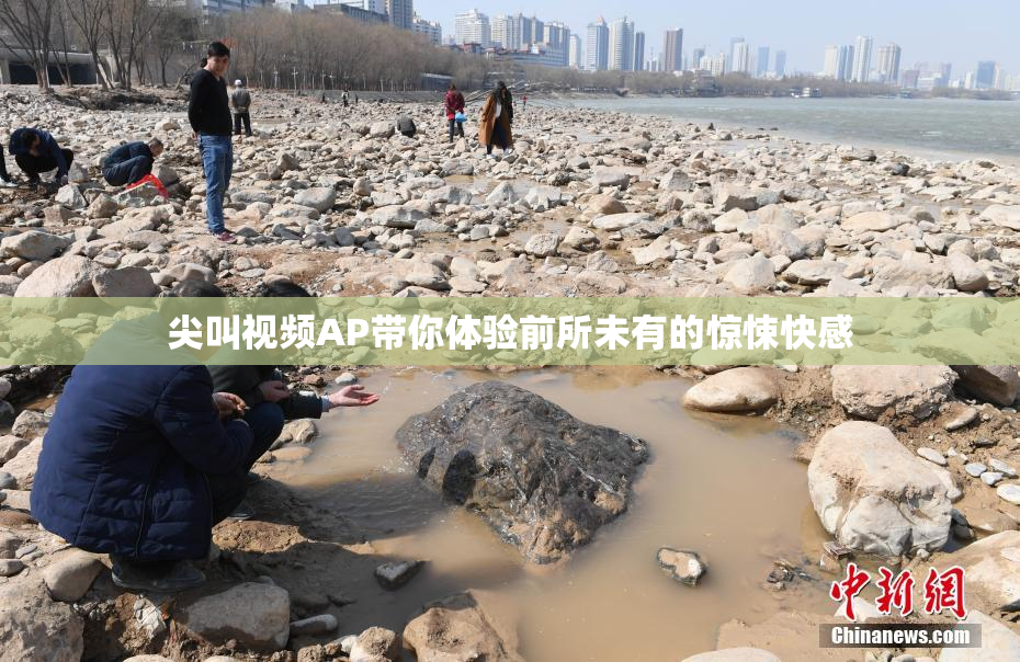 尖叫视频AP带你体验前所未有的惊悚快感