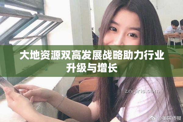 大地资源双高发展战略助力行业升级与增长