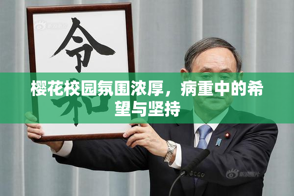 樱花校园氛围浓厚，病重中的希望与坚持
