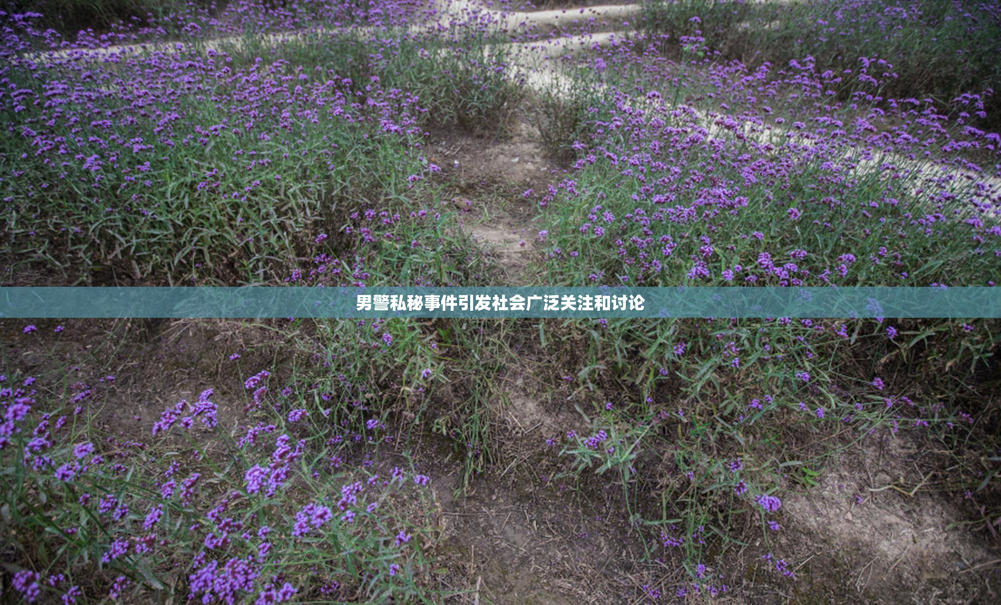 男警私秘事件引发社会广泛关注和讨论