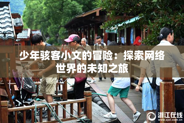 少年骇客小文的冒险：探索网络世界的未知之旅
