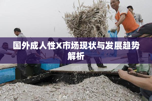 国外成人性X市场现状与发展趋势解析