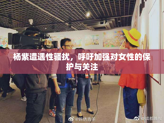 杨紫遭遇性骚扰，呼吁加强对女性的保护与关注