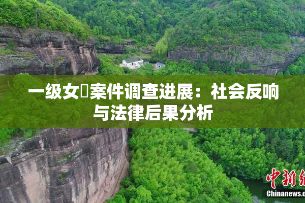 一级女婬案件调查进展：社会反响与法律后果分析