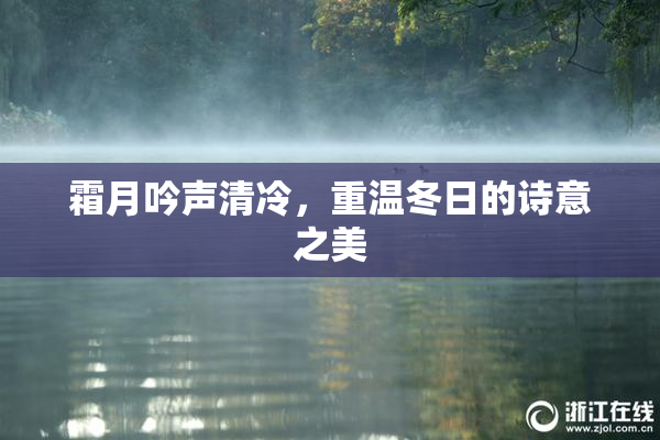 霜月吟声清冷，重温冬日的诗意之美