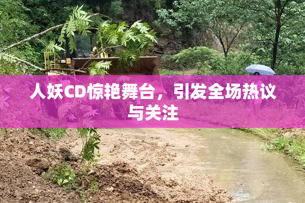 人妖CD惊艳舞台，引发全场热议与关注