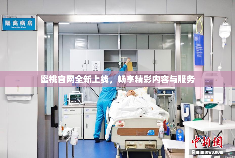 蜜桃官网全新上线，畅享精彩内容与服务