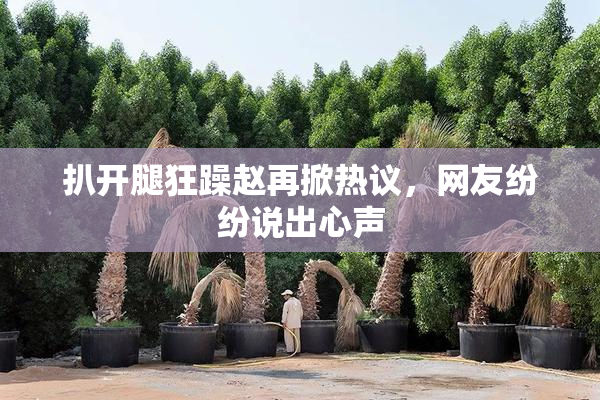 扒开腿狂躁赵再掀热议，网友纷纷说出心声