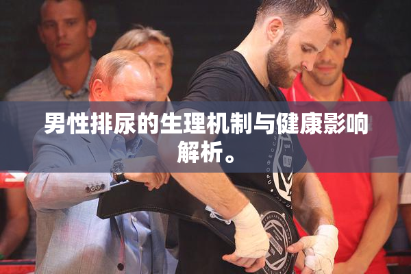 男性排尿的生理机制与健康影响解析。